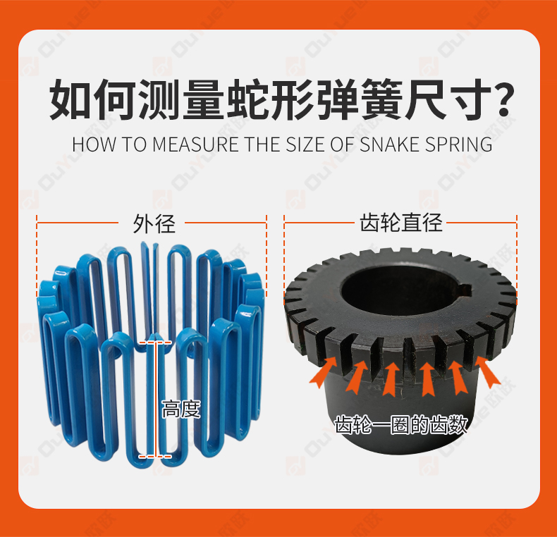 蛇形彈簧聯軸器 類型、國標及應用品牌解析